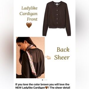 CAbi Ladylike Brown Sheer Back Cardigan